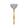 Anuk - 14K White-Yellow Gold Emerald Cut Diamond Engagement Ring - 0.06 ct