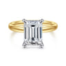 Peace - 14K Yellow-White Gold Emerald Cut Diamond Engagement Ring - 0.08 ct