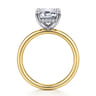 Peace - 14K Yellow-White Gold Emerald Cut Diamond Engagement Ring - 0.08 ct