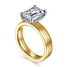 Argentina - 14K White-Yellow Gold Emerald Cut Solitaire Diamond Engagement Ring - 0.08 ct