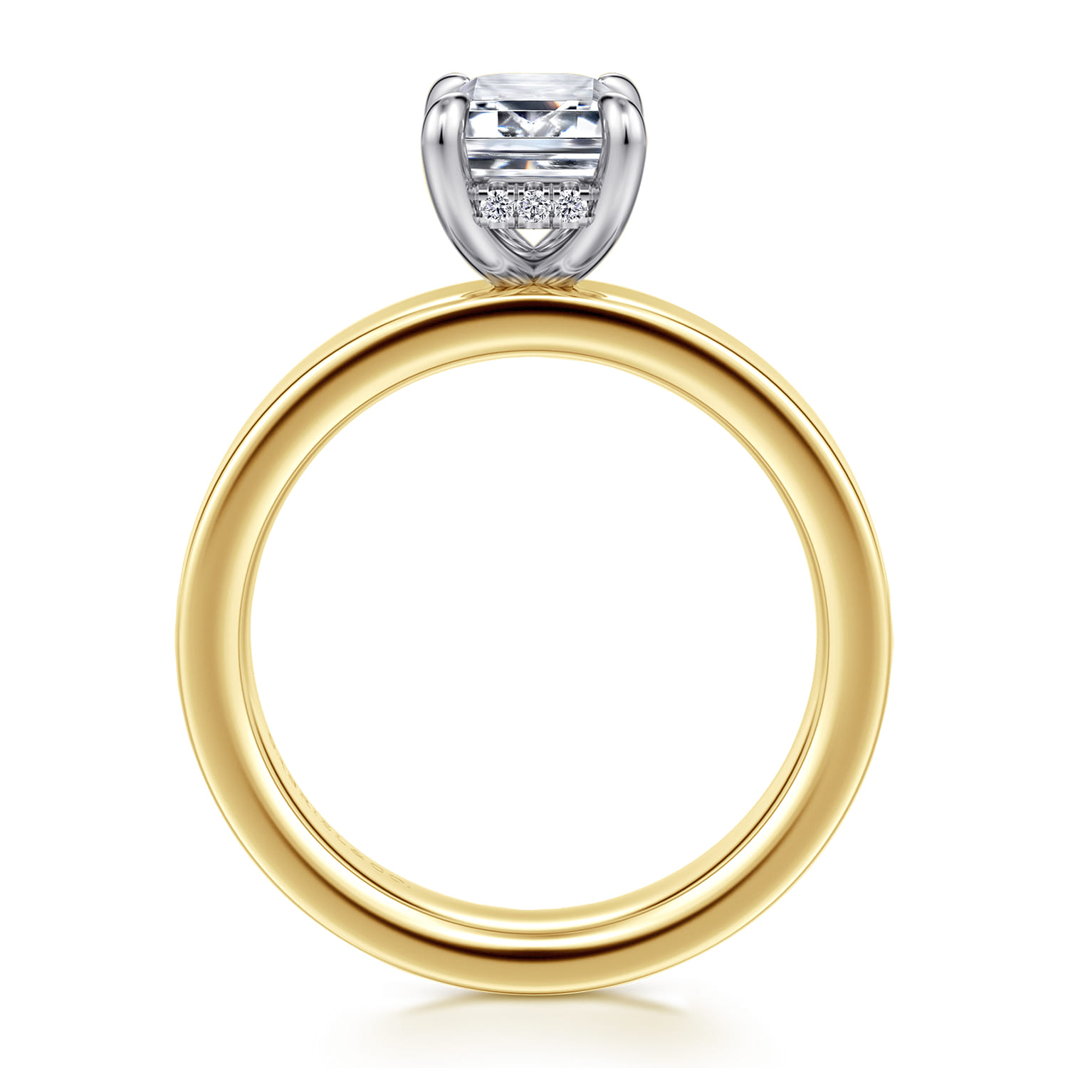 Argentina - 14K White-Yellow Gold Emerald Cut Diamond Engagement Ring - 0.05 ct - Shot 2
