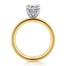 Argentina - 14K White-Yellow Gold Emerald Cut Diamond Engagement Ring - 0.05 ct