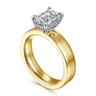Argentina - 14K White-Yellow Gold Emerald Cut Diamond Engagement Ring - 0.05 ct