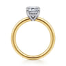 Austria - 14K White-Yellow Gold Emerald Cut Diamond Engagement Ring - 0.07 ct