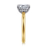 Austria - 14K White-Yellow Gold Emerald Cut Diamond Engagement Ring - 0.07 ct