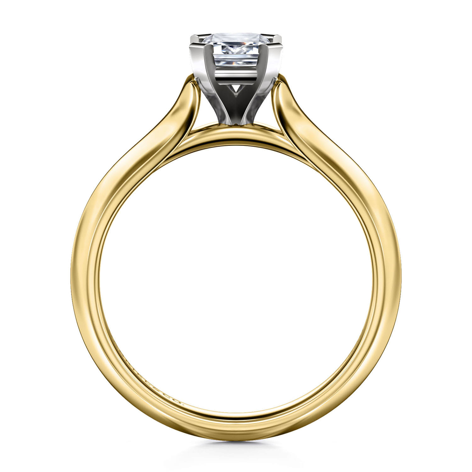 Ellis - 14K White-Yellow Gold Emerald Cut Diamond Engagement Ring - Shot 2