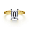 Paula - 14K White-Yellow Gold Emerald Cut Diamond Engagement Ring