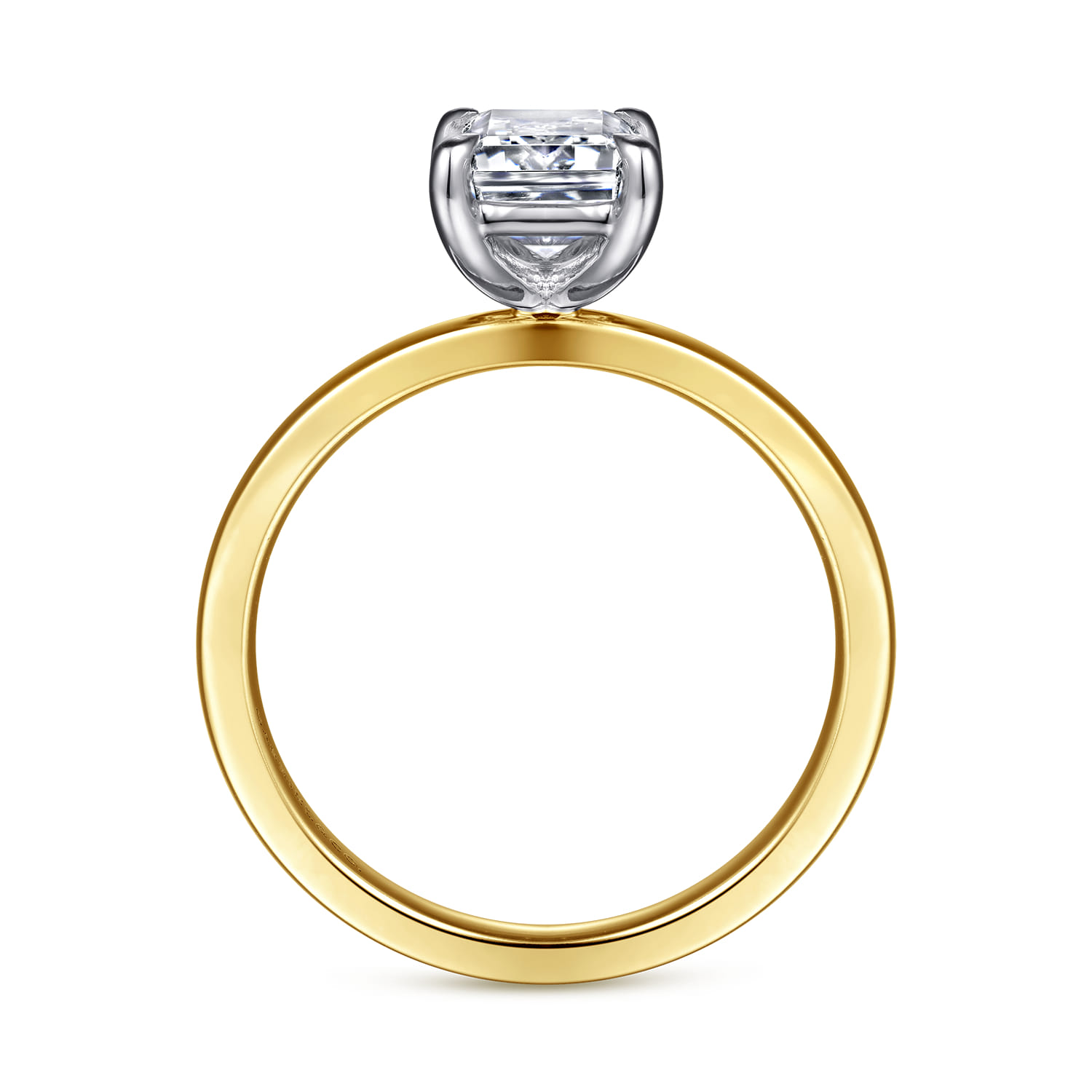 Paula - 14K White-Yellow Gold Emerald Cut Diamond Engagement Ring - Shot 2