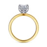 Paula - 14K White-Yellow Gold Emerald Cut Diamond Engagement Ring