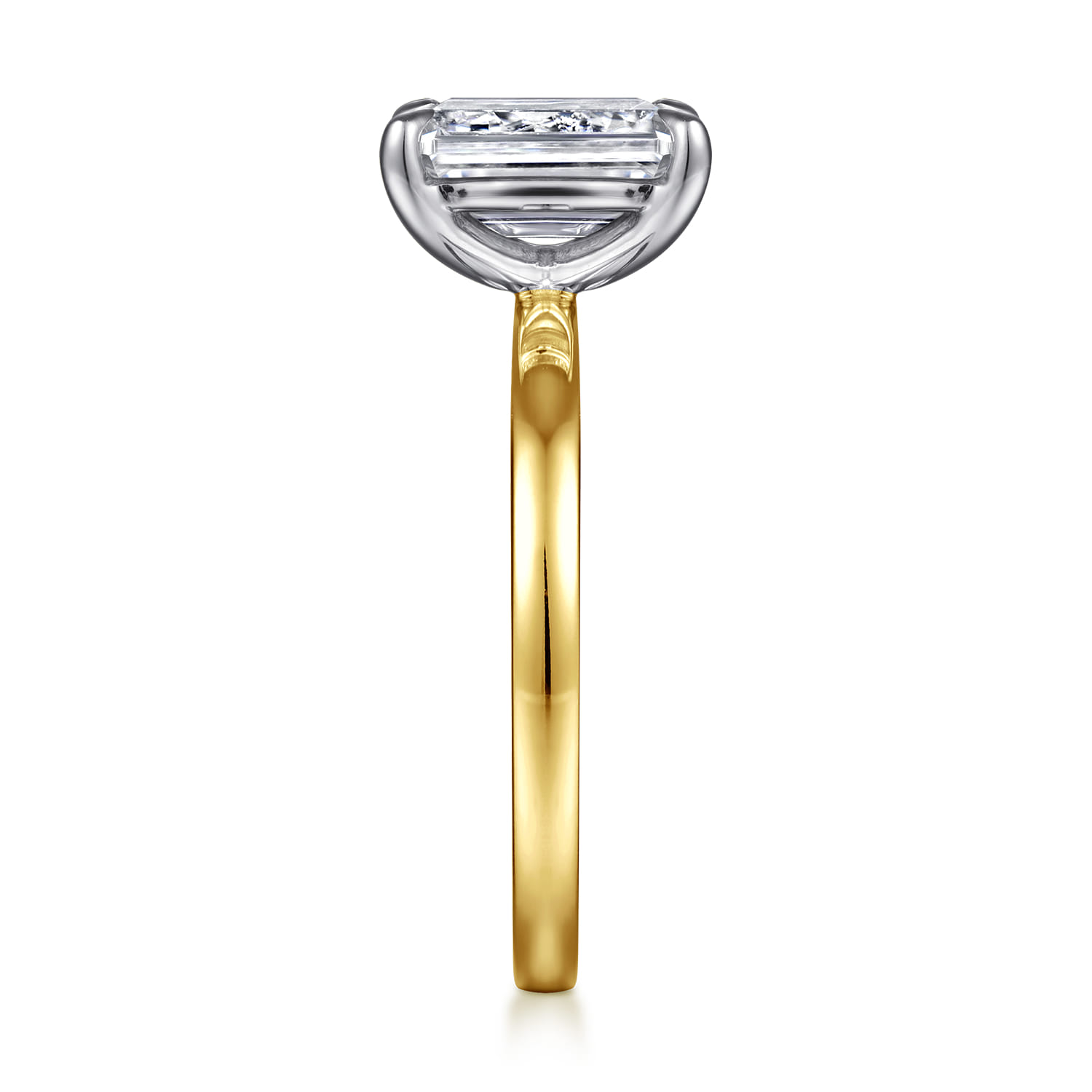 Paula - 14K White-Yellow Gold Emerald Cut Diamond Engagement Ring - Shot 5