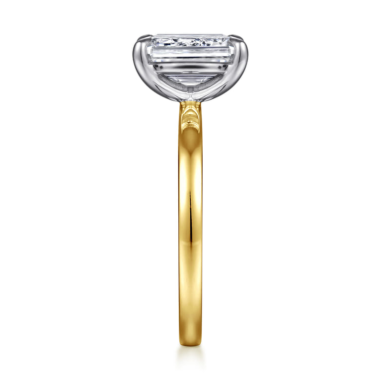 Paula - 14K White-Yellow Gold Emerald Cut Diamond Engagement Ring - Shot 5