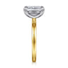 Paula - 14K White-Yellow Gold Emerald Cut Diamond Engagement Ring