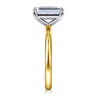 Lark - 14K White-Yellow Gold Emerald Cut Solitaire Engagement Ring