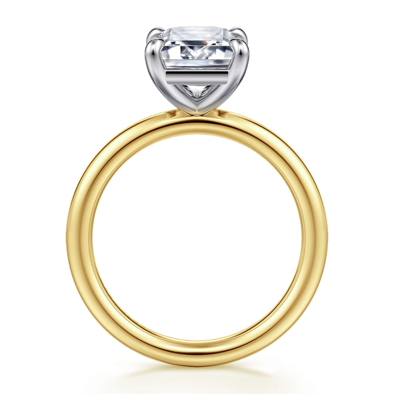 Lark - 14K White-Yellow Gold Emerald Cut Solitaire Engagement Ring - Shot 2