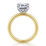 Lark - 14K White-Yellow Gold Emerald Cut Solitaire Engagement Ring