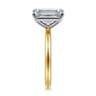 Lark - 14K White-Yellow Gold Emerald Cut Solitaire Engagement Ring