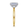 Lark - 14K White Yellow Gold Emerald Cut Solitaire Engagement Ring