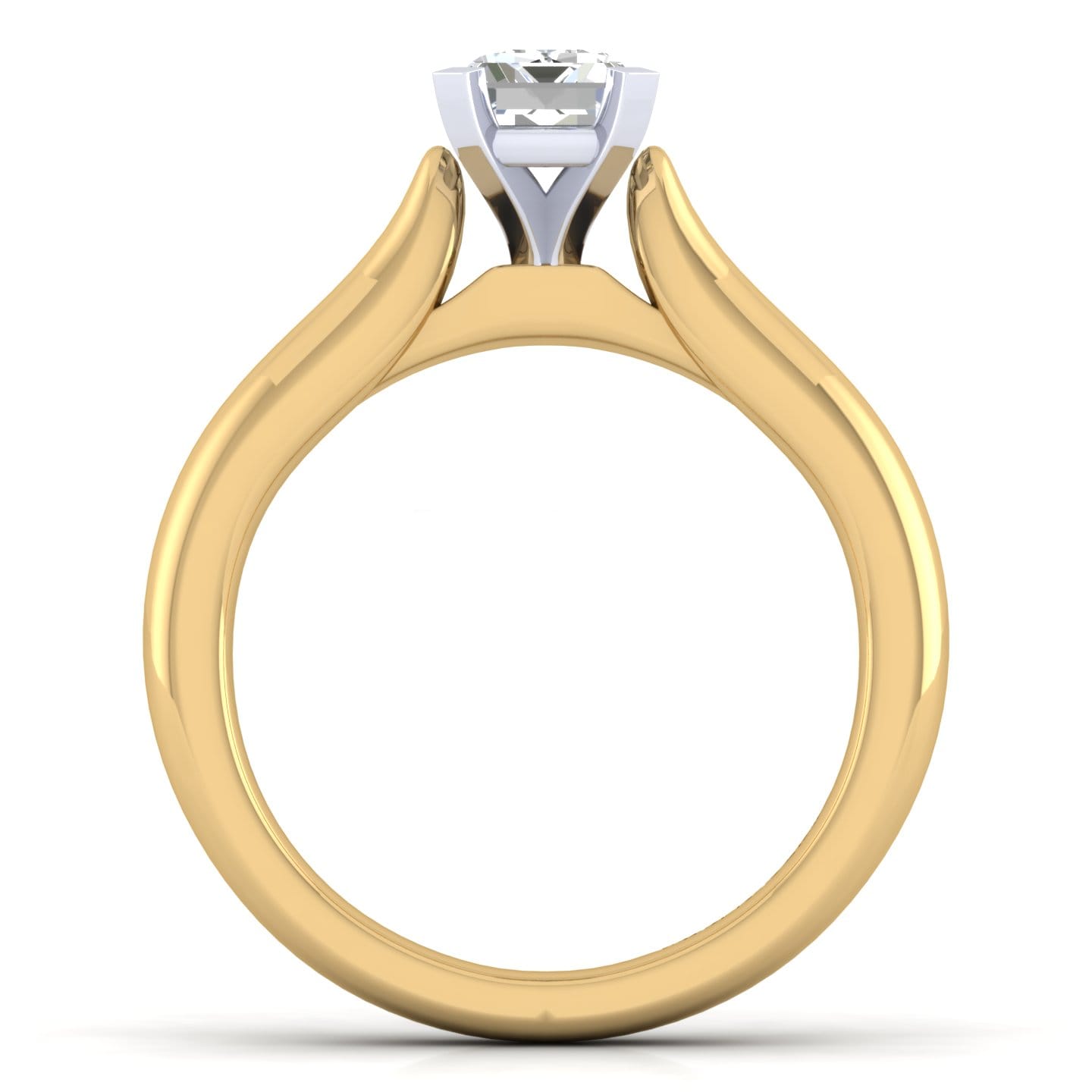 Lauren - 14K White-Yellow Gold Emerald Cut Diamond Engagement Ring - Shot 2