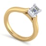 Lauren - 14K White-Yellow Gold Emerald Cut Diamond Engagement Ring