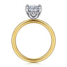 Cari - 14K White-Yellow Gold Oval Diamond Engagement Ring - 0.08 ct