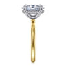 Cari - 14K White-Yellow Gold Oval Diamond Engagement Ring - 0.08 ct