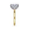 Cari - 14K White-Yellow Gold Oval Diamond Engagement Ring - 0.09 ct