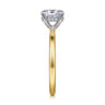 Cari - 14K White-Yellow Gold Oval Diamond Engagement Ring - 0.05 ct