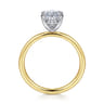Cari - 14K White-Yellow Gold Oval Diamond Engagement Ring - 0.06 ct