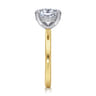 Cari - 14K White-Yellow Gold Oval Diamond Engagement Ring - 0.06 ct