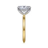Cari - 14K White-Yellow Gold Oval Solitaire Diamond Engagement Ring - 0.07 ct