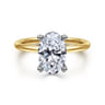Ady - 14K White-Yellow Gold Hidden Halo Oval Diamond Engagement Ring - 0.07 ct