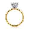 Ady - 14K White-Yellow Gold Hidden Halo Oval Diamond Engagement Ring - 0.07 ct