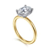 Ady - 14K White-Yellow Gold Hidden Halo Oval Diamond Engagement Ring - 0.07 ct