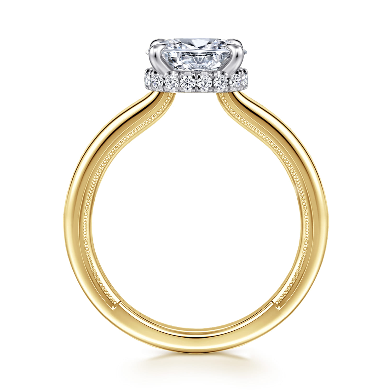 Sandi - 14K White-Yellow Gold East West Oval Diamond Engagement Ring - 0.1 ct - Shot 2