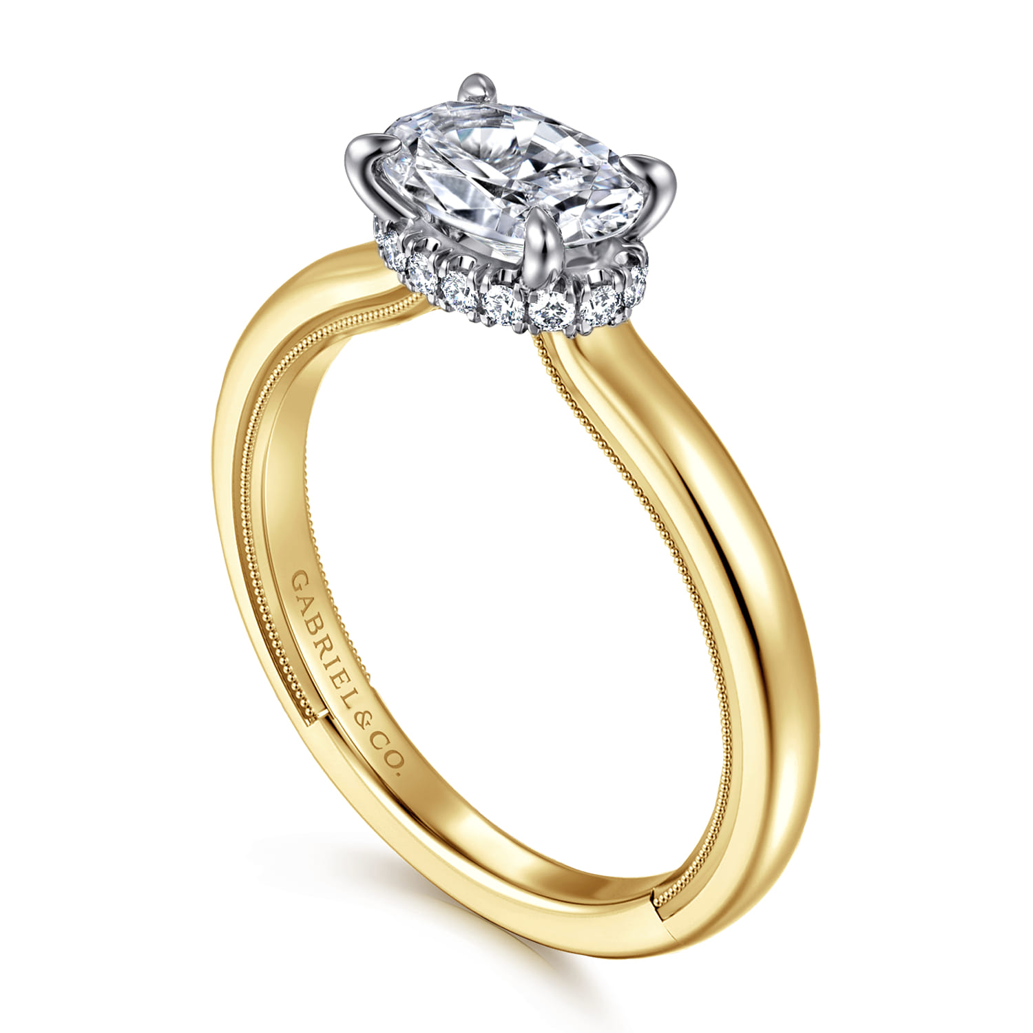 Sandi - 14K White-Yellow Gold East West Oval Diamond Engagement Ring - 0.1 ct - Shot 3