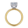 Lua - 14K White-Yellow Gold Hidden Halo Oval Diamond Engagement Ring - 0.08 ct