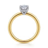 Austria - 14K White-Yellow Gold Oval Diamond Engagement Ring - 0.07 ct
