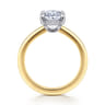 Aliona - 14K White-Yellow Gold Oval Solitaire Diamond Engagement Ring - 0.09 ct