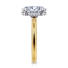 Aliona - 14K White-Yellow Gold Oval Solitaire Diamond Engagement Ring - 0.09 ct