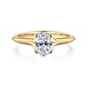 Ellis - 14K White-Yellow Gold Oval Diamond Engagement Ring