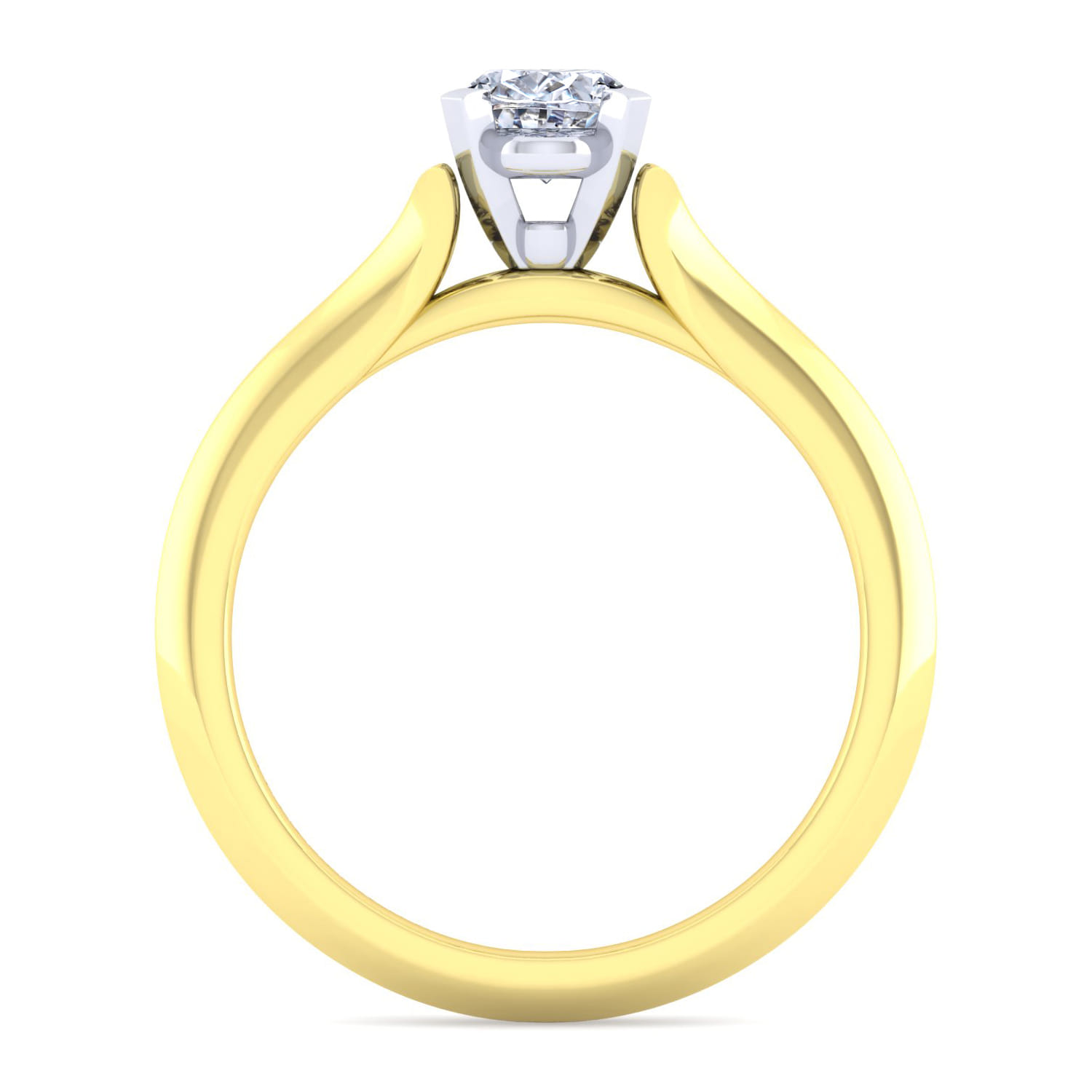 Ellis - 14K White-Yellow Gold Oval Diamond Engagement Ring - Shot 2