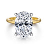 Ali - 14K White-Yellow Gold Oval Diamond Engagement Ring