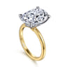 Ali - 14K White-Yellow Gold Oval Diamond Engagement Ring