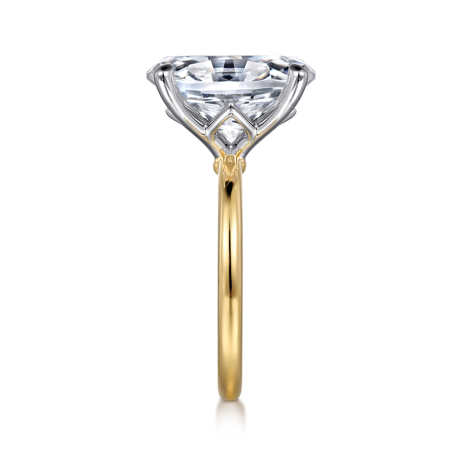 Ali - 14K White-Yellow Gold Oval Diamond Engagement Ring - Shot 5