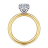 Lark - 14K White-Yellow Gold Oval Solitaire Diamond Engagement Ring