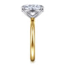 Lark - 14K White-Yellow Gold Oval Solitaire Diamond Engagement Ring