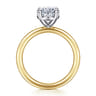 Lark - 14K White Yellow Gold Oval Solitaire Engagement Ring