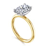 Lark - 14K White Yellow Gold Oval Solitaire Engagement Ring