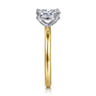 Lark - 14K White Yellow Gold Oval Solitaire Engagement Ring