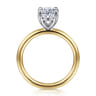 Lark - 14K White Yellow Gold Oval Solitaire Engagement Ring